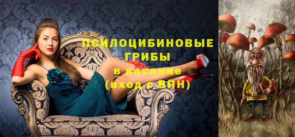 МДМА Алексеевка